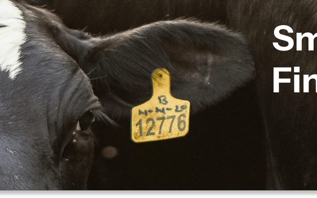 Feeder Associations in Alberta