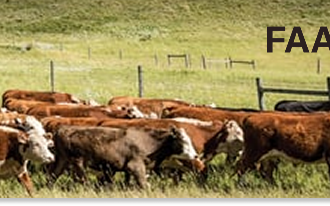 Insights from the Feeder Associations of Alberta Conference